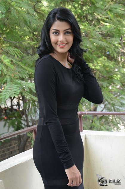 Anisha-Ambrose-at-Run-Movie-Release-Press-Meet